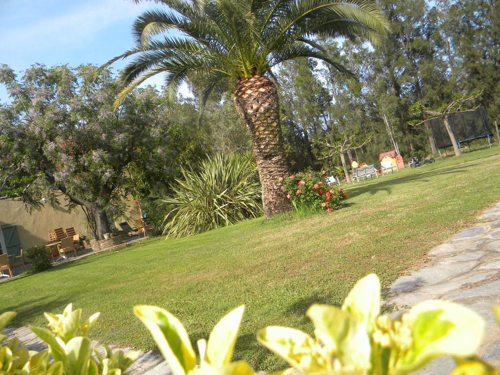 Auberge Les Oliviers Lucciana  Bagian luar foto